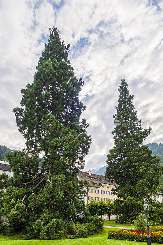 瑞士——Bad Ragaz, Kurzpark